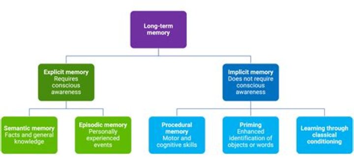 Long-___ memory