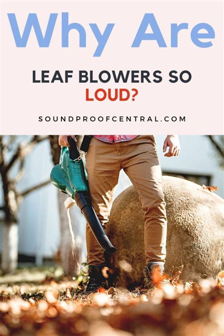 Loud like leaf blowers