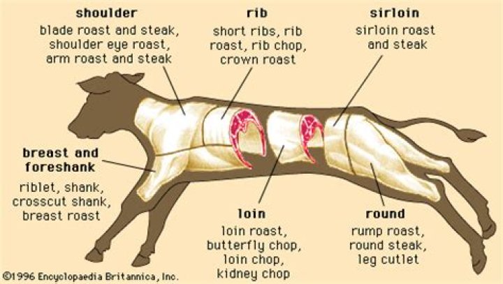 Meat from a calf