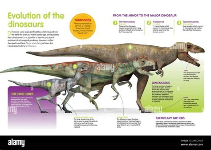 Mesozoic ___ (when dinosaurs evolved)
