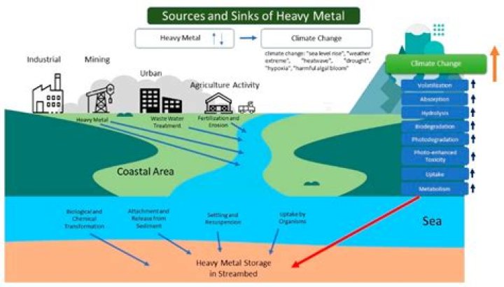 Metal source