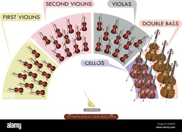 Midsize instrument in an orchestra's string section