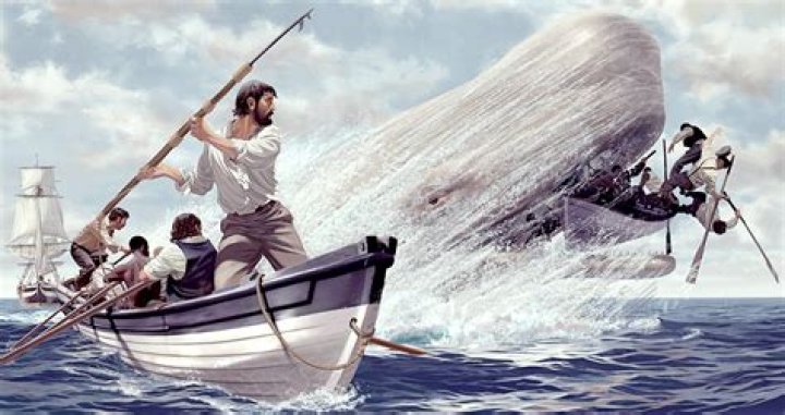 Moby-Dick whale hunter