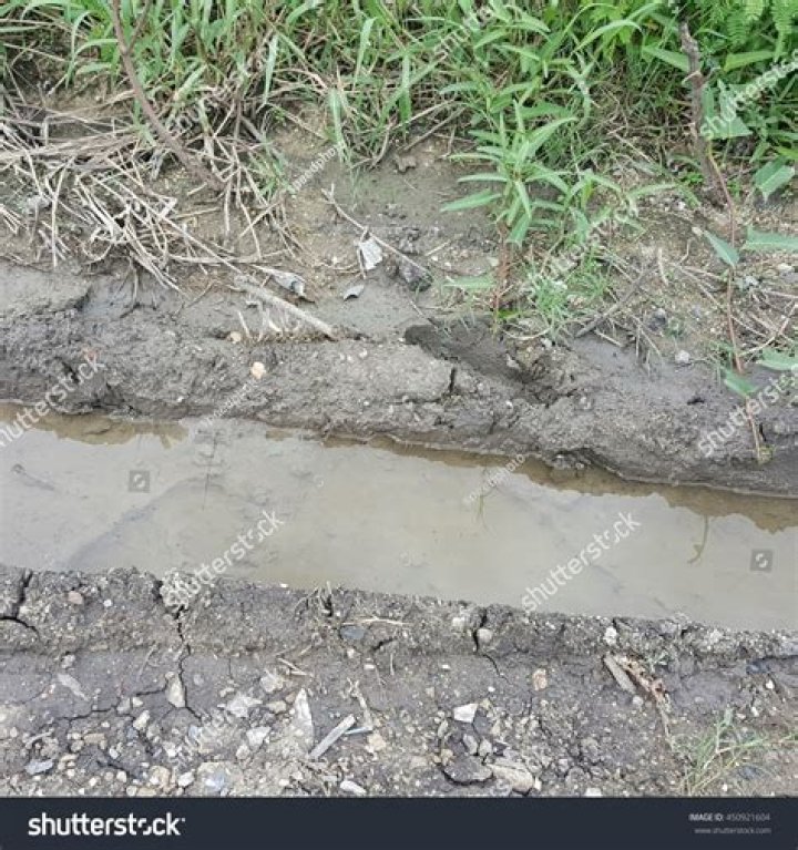 Moist