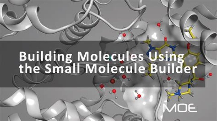 Molecule builder