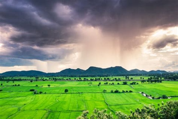 Monsoon weather