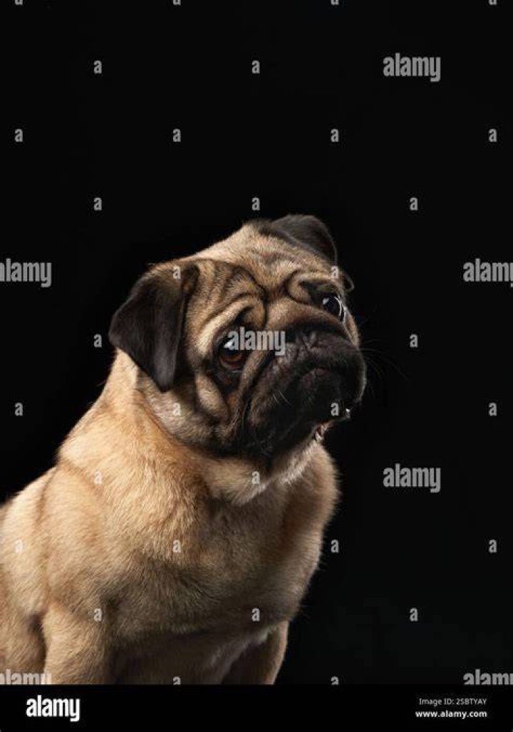 Mopey
