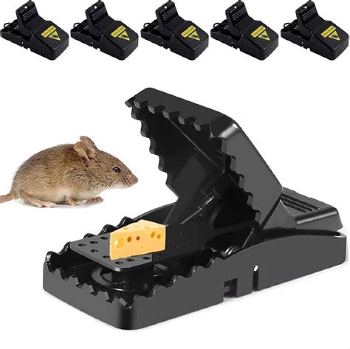 Mouse catcher