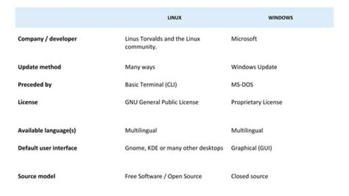 MS-___ (software that preceded Windows)