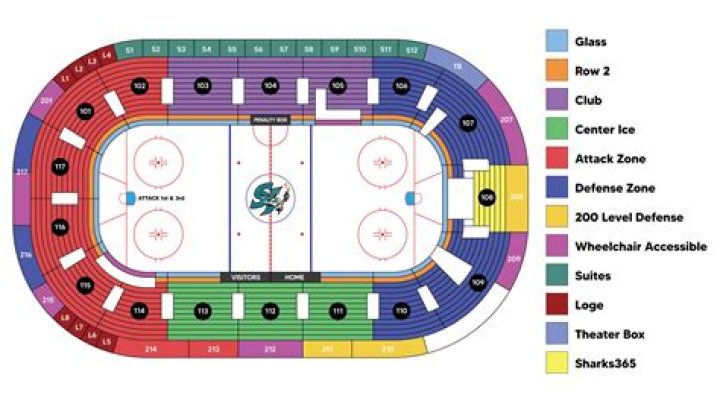 NHL arena surface