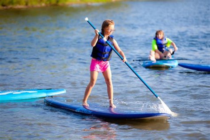 Paddle