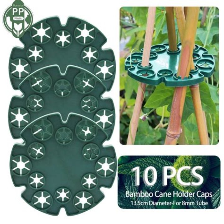 Pea holder