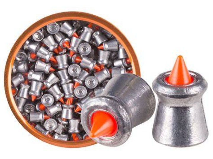 Pellet gun ammunition
