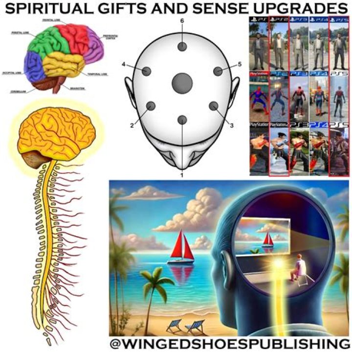 Perceives visually