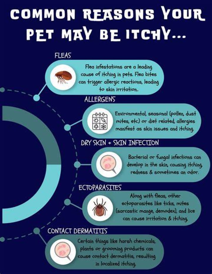 Pet ___ (personal irritation)