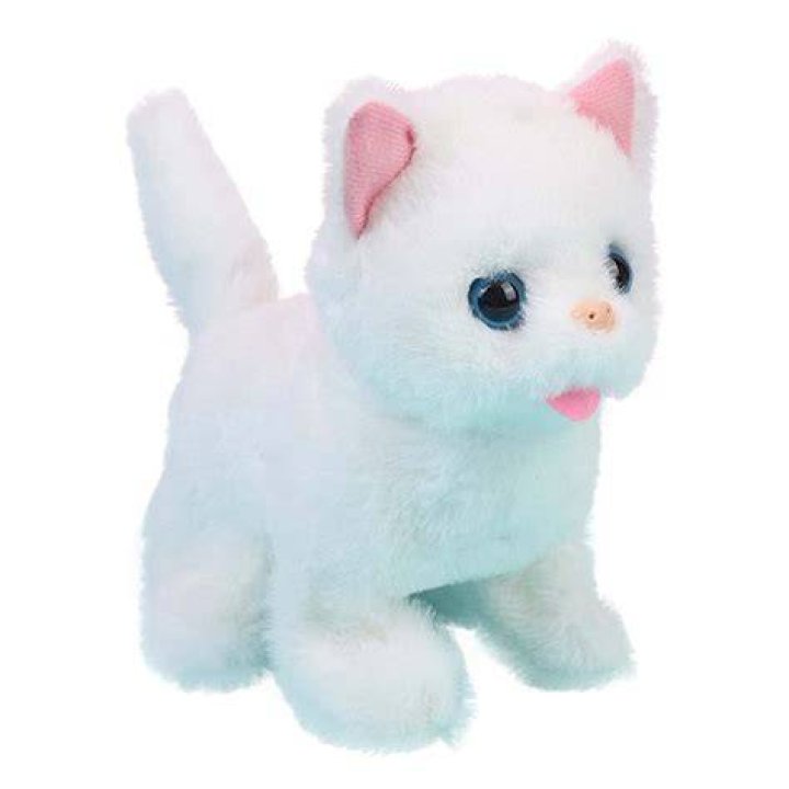 Pet that meows