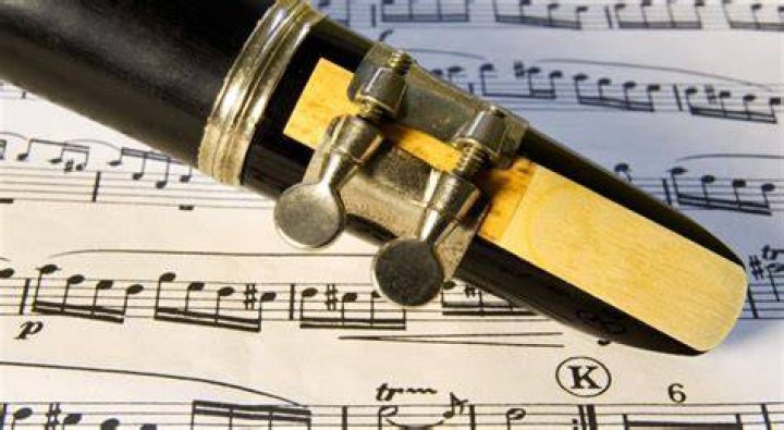 Piece inserted into a clarinet or oboe