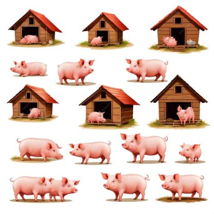 Pigsty