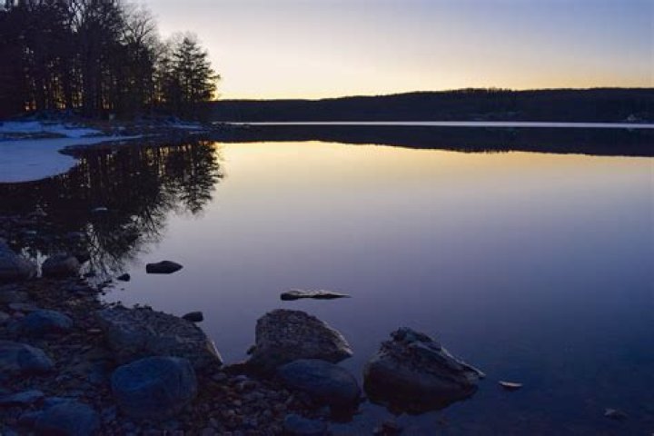 Placid