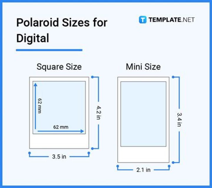 Polaroid for example
