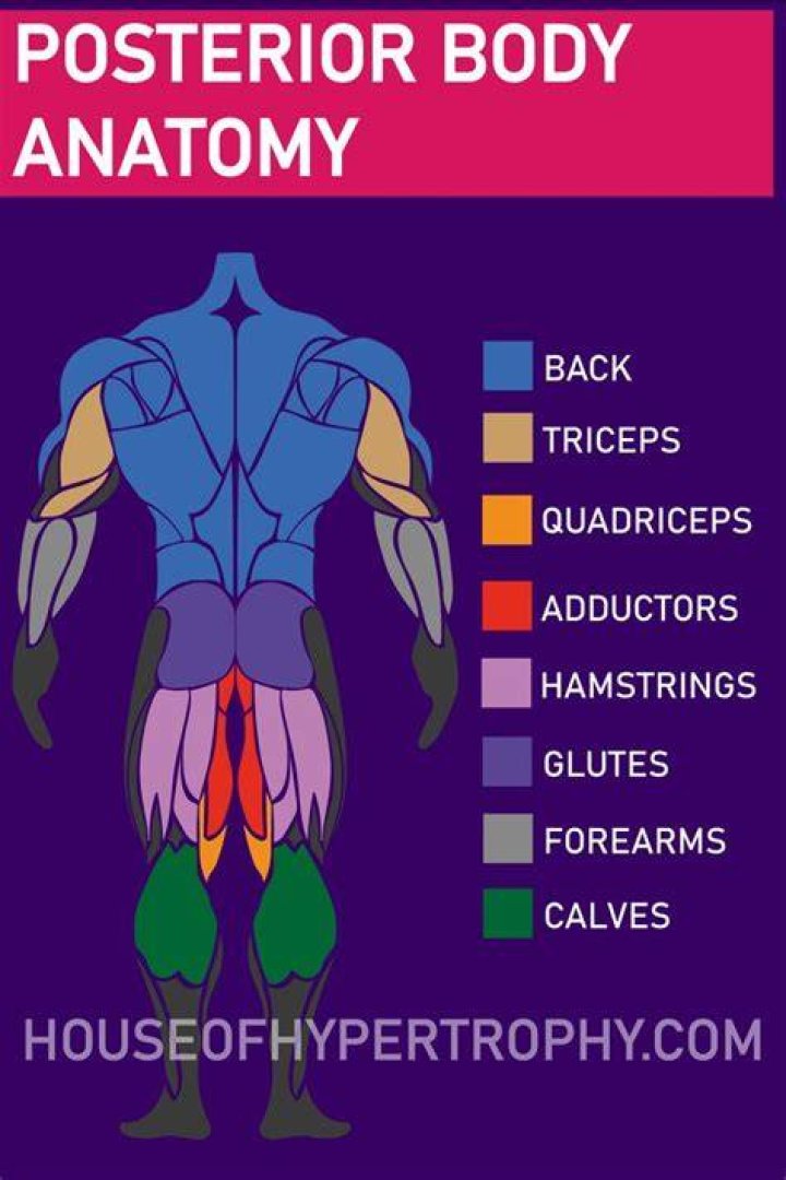 Posterior