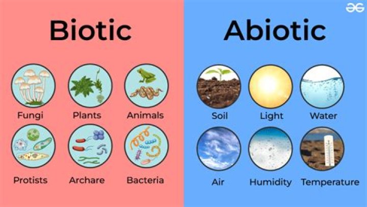 Prefix for gravity or biotic
