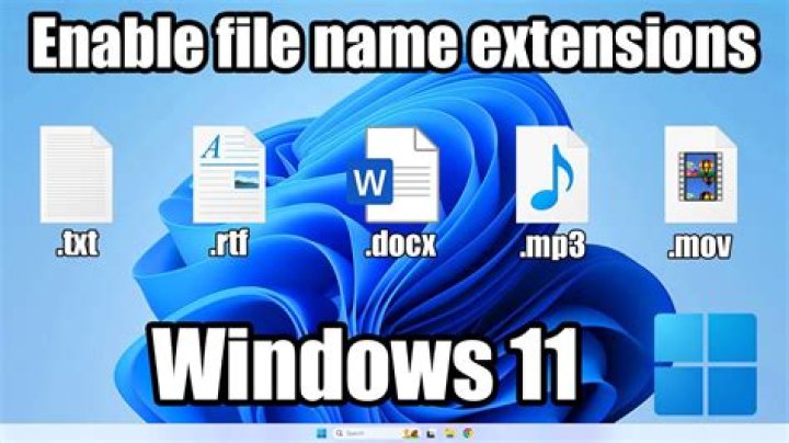 Program file-name extension