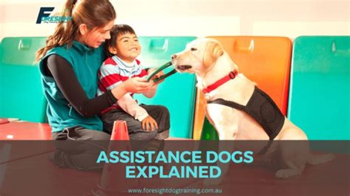Provide assistance to