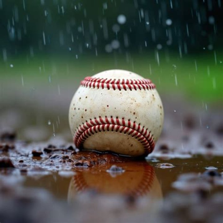 Rain ___ (baseball game interruption)