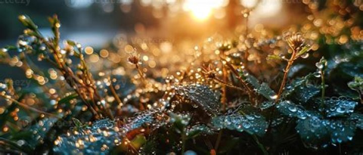 Rain-drenched