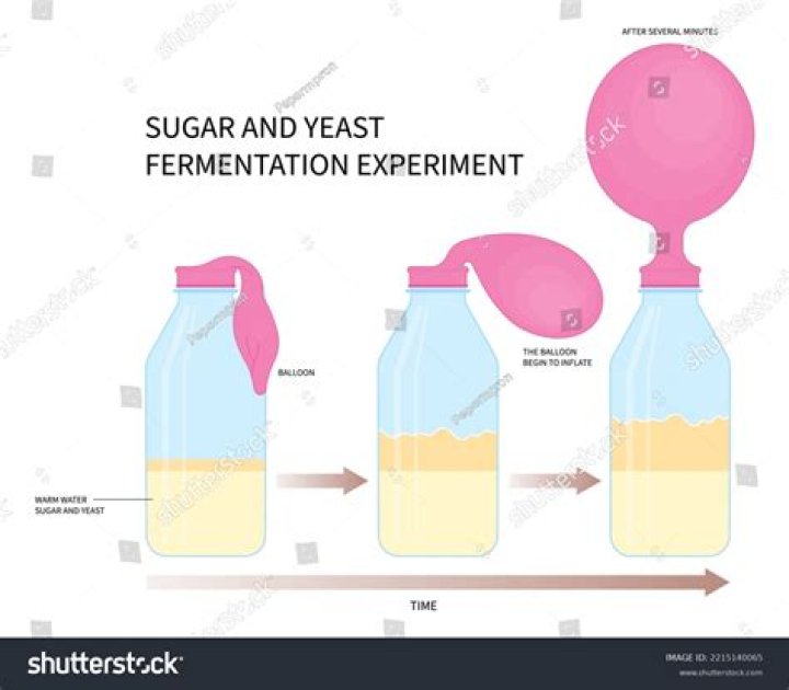React to yeast