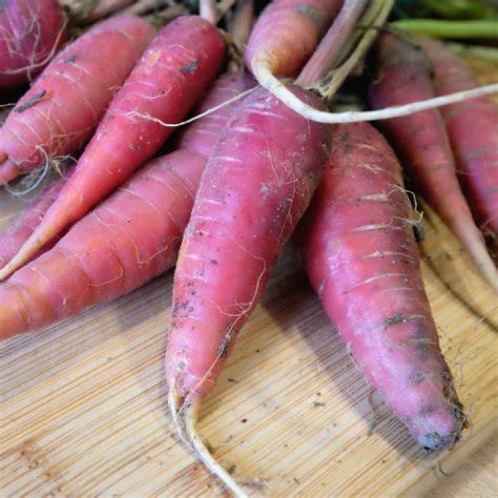 Red root veggie