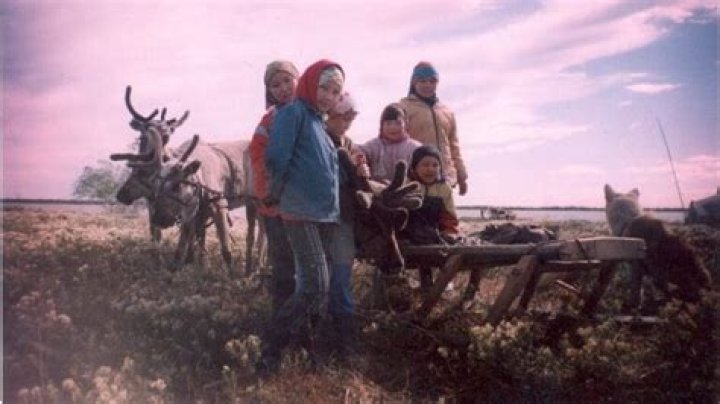 Reindeer relatives