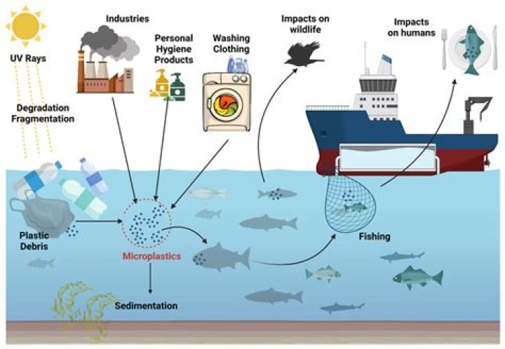 Release as pollution