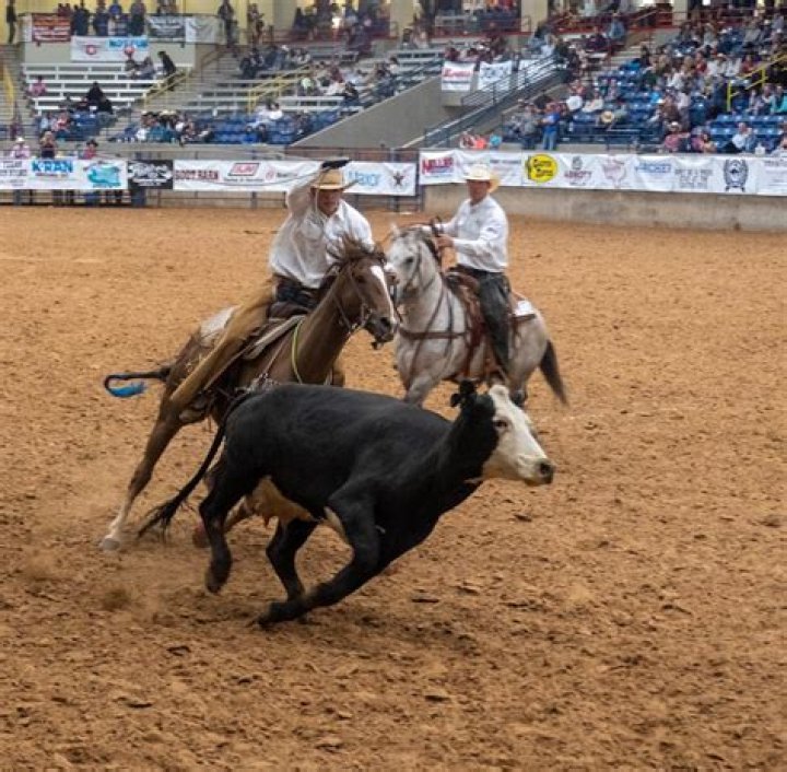 Rope in a rodeo
