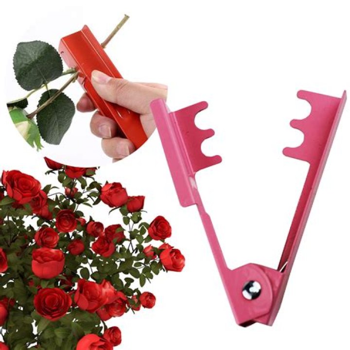 Rose stem pricker