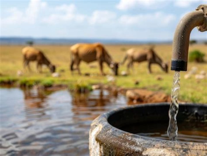 Rural water source