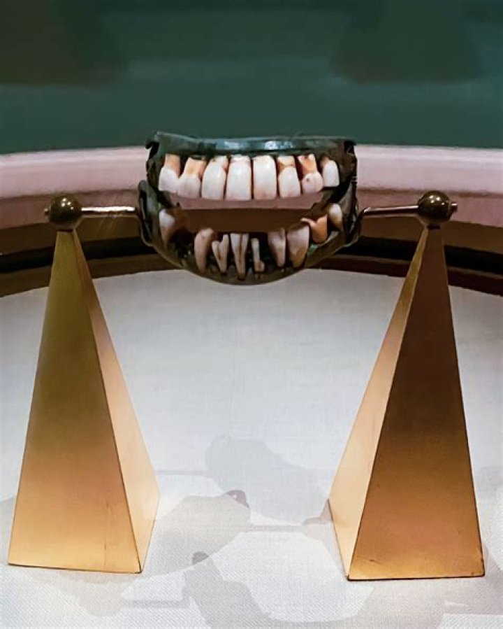 Sank one's teeth into