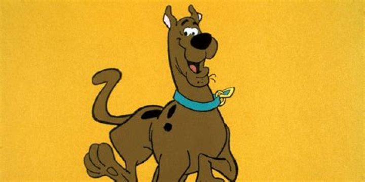 Scooby-___ (cartoon dog)