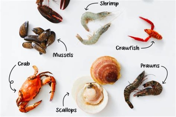 Seafood in a shell