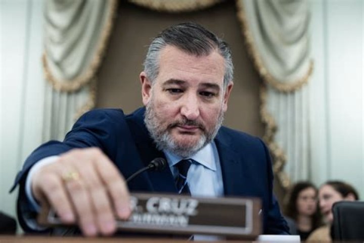 Senator Cruz