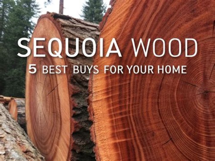 Sequoia or sycamore for example