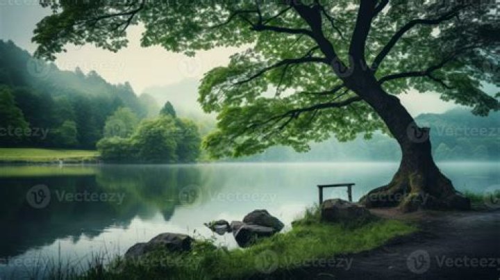 Serene