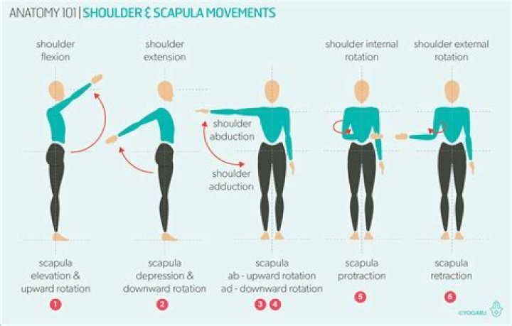 Shoulder motion indicating So what?
