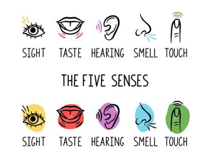 Sight touch or taste