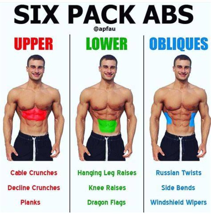 Six-pack muscles
