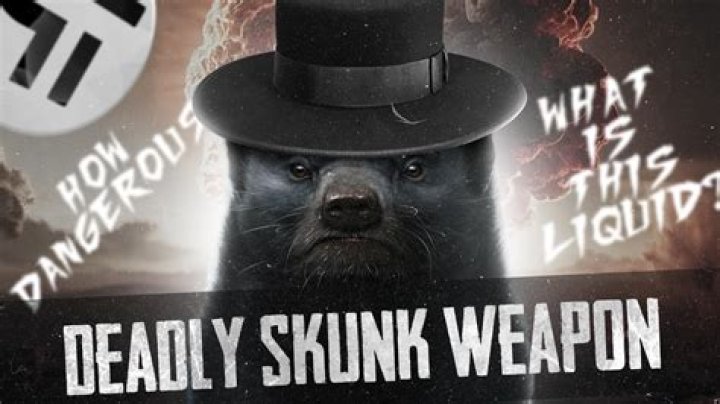 Skunks' weapons