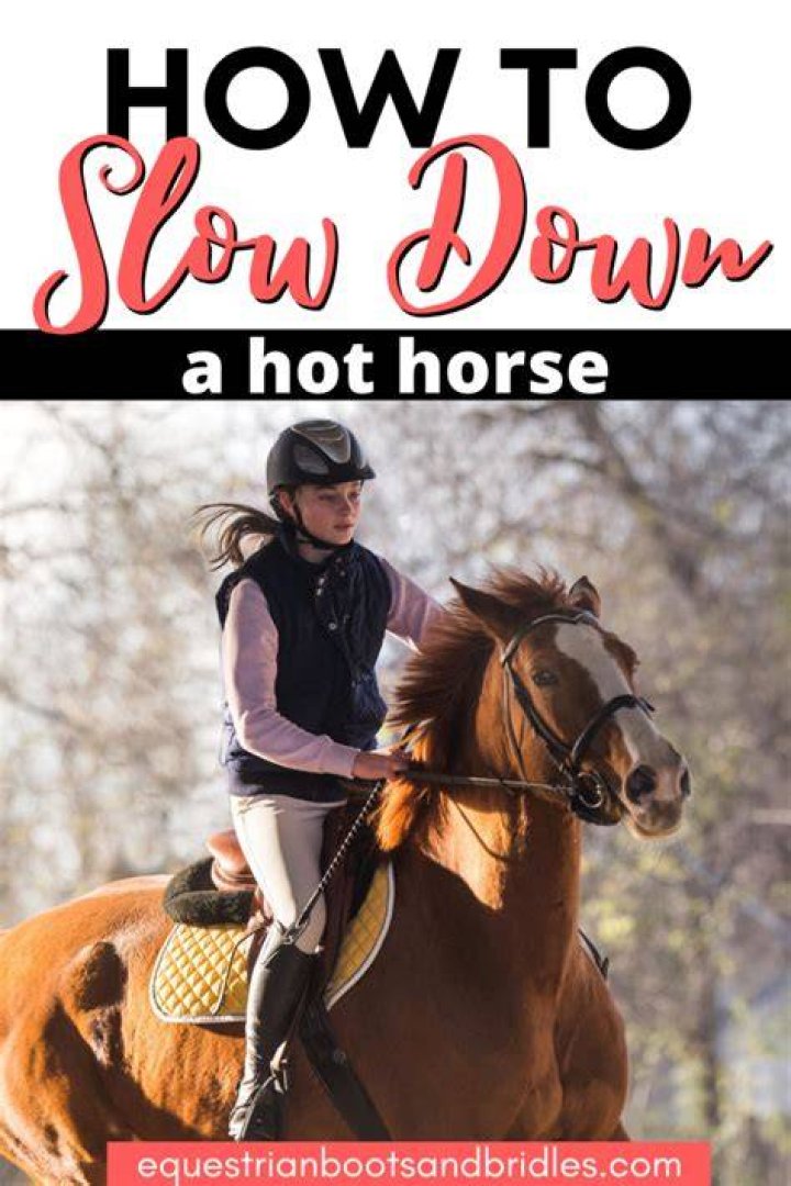 Slow down horse!