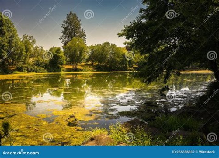 Small lake