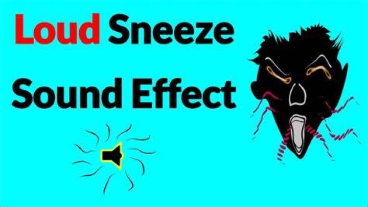 Sneeze sound